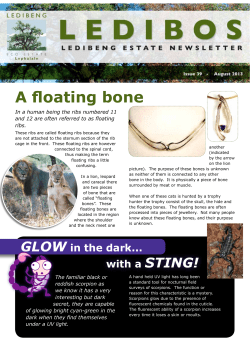 A floating bone