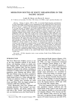 Migration Routes of Sooty Shearwaters in the Pacific Ocean