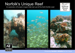 Norfolk`s Unique Reef - Norfolk Wildlife Trust