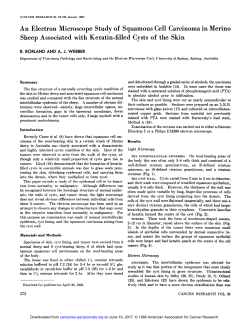 An Electron Microscope Study of Squamous Cell