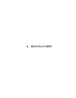 4. banana farm - Embassy of Ethiopia