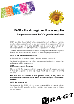 RAGT &ndash; the strategic sunflower supplier