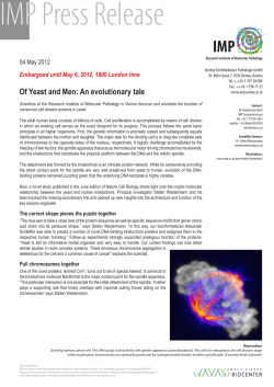 Press Release English - Research Institute of Molecular Pathology