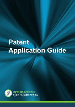 Patent Application Guide