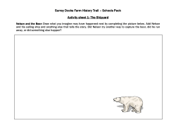 Schools Pack - activity sheets