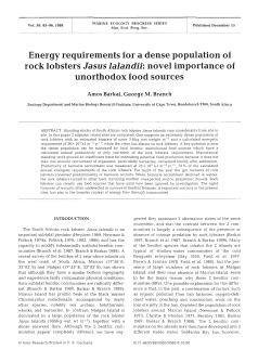 Energy requirements for a dense population of rock lobsters Jasus
