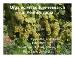 Botrytis/Black rot research at the Lake Erie Regional Grape