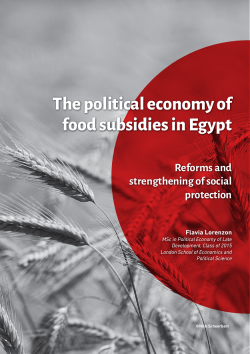 The political economy of food subsidies in Egypt: Reforms and