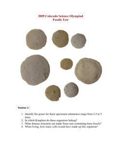 2009 Colorado Science Olympiad State Fossil Exam