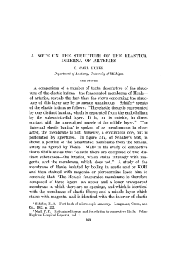 A NOTE ON THE STRUCTURE OF THE ELASTICA