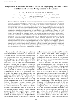 Amphioxus Mitochondrial DNA, Chordate Phylogeny