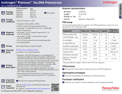 Platinum Taq DNA Polymerase