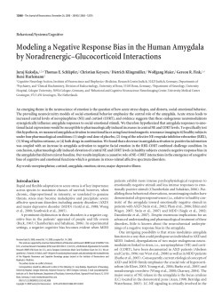 Modeling a Negative Response Bias in the Human Amygdala by