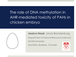 The role of DNA methylation in AHR
