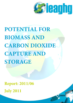 potential for biomass and carbon dioxide capture and storage