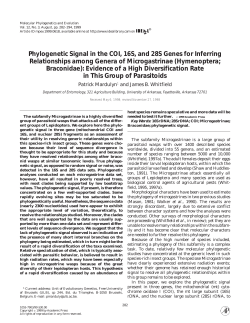 Phylogenetic Signal in the COI, 16S, and 28S Genes for
