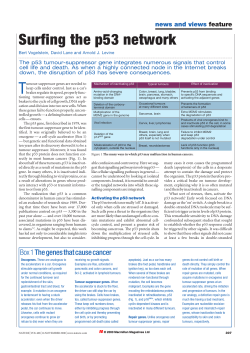 news and views feature