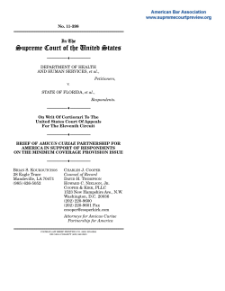 Brief for Partnership for America