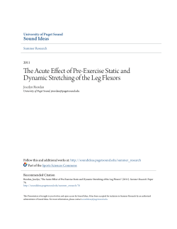 The Acute Effect of Pre-Exercise Static and Dynamic Stretching of