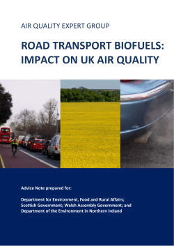 ROAD TRANSPORT BIOFUELS: IMPACT ON UK AIR QUALITY
