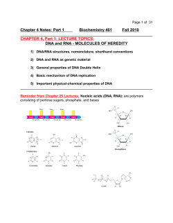 Chapter 4 Notes: Part 1 Biochemistry 461 Fall 2010 CHAPTER 4