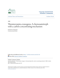 Thiomicrospira crunogena: A chemoautotroph