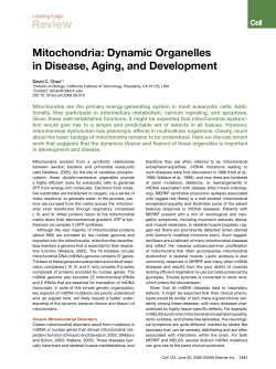 Mitochondria: Dynamic Organelles in Disease, Aging, and