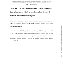 Protein RS1 (RSC1A1) Downregulates the Exocytotic Pathway of