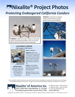 Premium Nixalite helps protect endangered California Condors