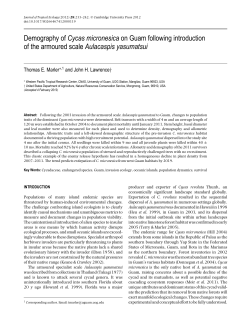 Demography of Cycas micronesica on Guam following introduction