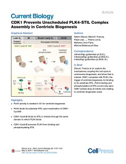 CDK1 Prevents Unscheduled PLK4-STIL Complex