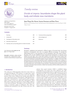 Divide et impera: boundaries shape the plant body and initiate new