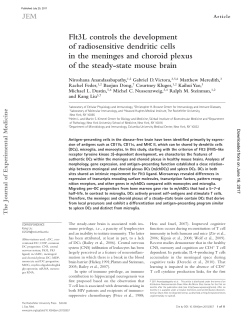 Flt3L controls the development of radiosensitive dendritic cells