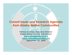 Current Issues and Research Agendas