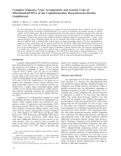 Complete Sequence, Gene Arrangement, and Genetic Code of