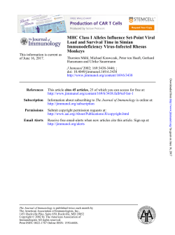 Monkeys Immunodeficiency Virus