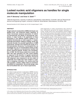Locked nucleic acid oligomers as handles for single molecule