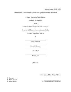 A Major Qualifying Project Report: Submitted to the Faculty Of the