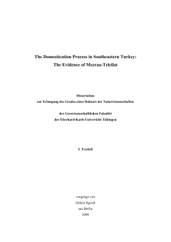 The Domestication Process in Southeastern Turkey: The Evidence