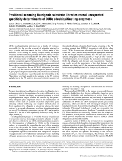Positional-scanning fluorigenic substrate libraries reveal