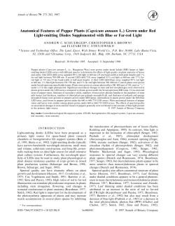 Anatomical Features of Pepper Plants (Capsicum annuum L.) Grown