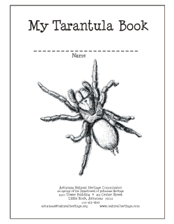 Tarantula Word Search - Arkansas Natural Heritage Commission