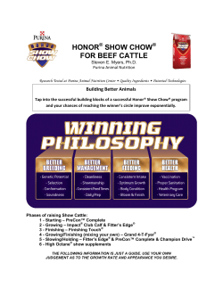 honor show chow for beef cattle