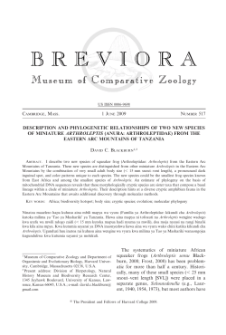 description and phylogenetic relationships of two new species of