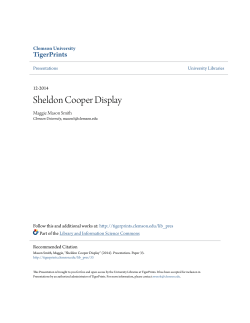 Sheldon Cooper Display - TigerPrints