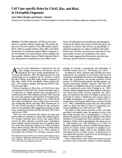 in Drosophila Oogenesis