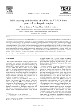 RNA recovery and detection of mRNA by RT
