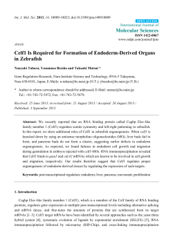 Celf1 Is Required for Formation of Endoderm
