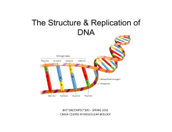 Bio300-DNA Structure and Replication.pptx