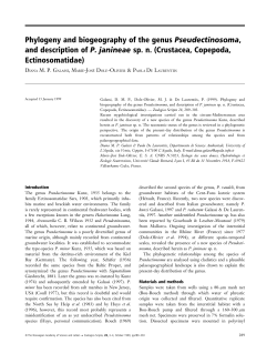 Phylogeny and biogeography of the genus Pseudectinosoma, and